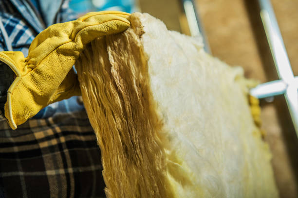 Range of Insulation Solutions in La Presa, CA