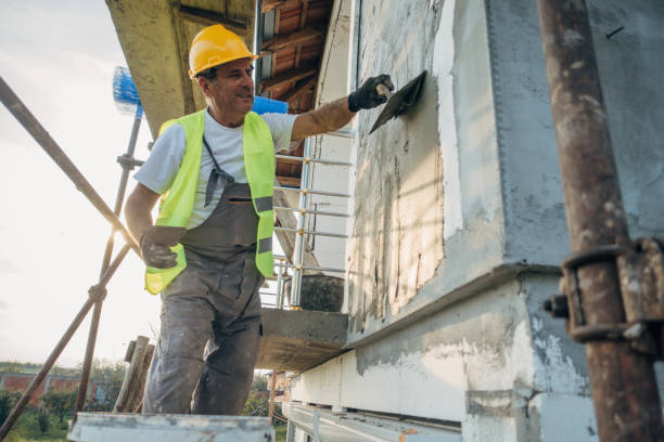 Best Insulation Contractors for Homes  in La Presa, CA