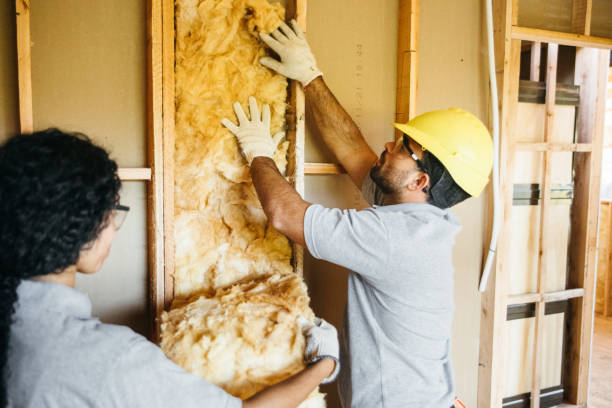 Best Crawl Space Insulation  in La Presa, CA