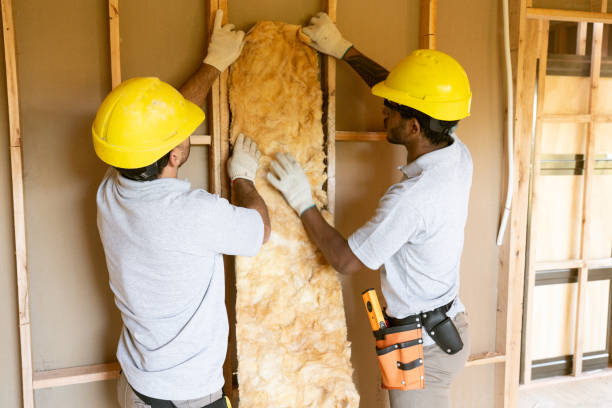 Best Spray Foam Insulation  in La Presa, CA
