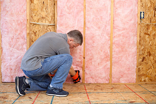 Reliable La Presa, CA Insulation Contractor Solutions