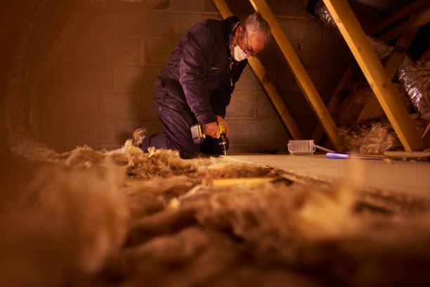 Best Attic Insulation Near Me  in La Presa, CA