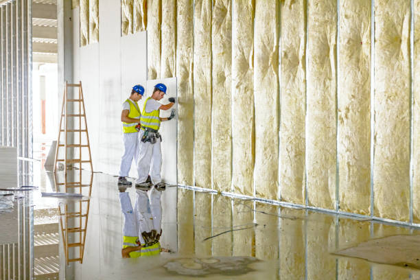 Best Insulation for New Construction  in La Presa, CA